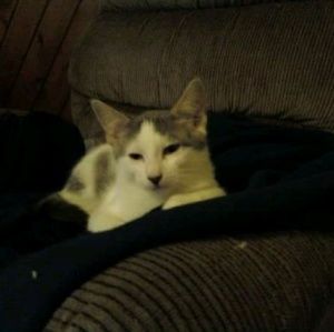 Meet your Posher, Teresa